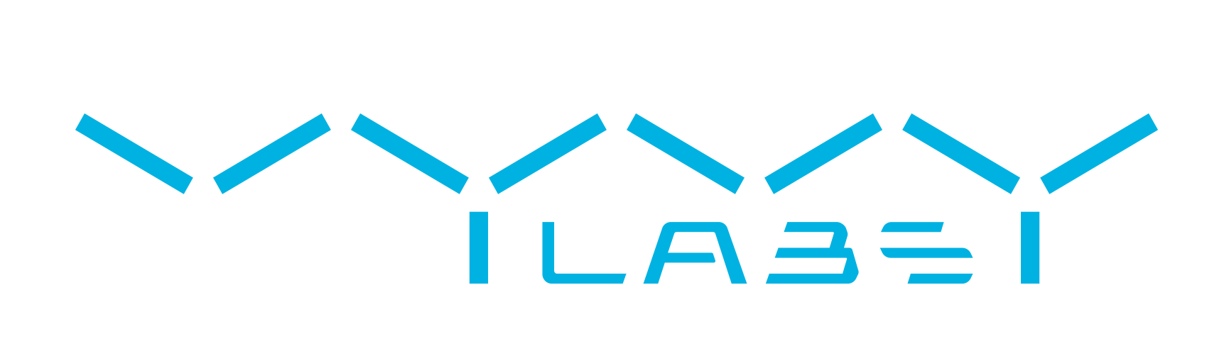 VYVYLABS